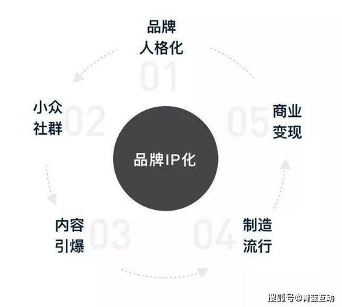 品牌IP的圈層化 互聯(lián)網(wǎng)營銷聯(lián)動下的新機遇